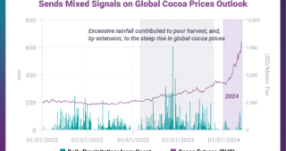 Early 2024 Rainfall Data in Ivory Coast Sends Mixed Signals on Global Cocoa Prices Outlook