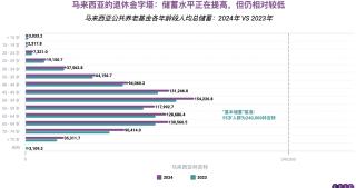 马来西亚的退休挑战：储蓄与社会安全网