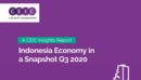 Indonesia Economy in a Snapshot Q3 2020 Report