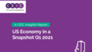 US Economy in a Snapshot Q1 2021 Report