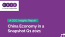 China Economy in a Snapshot Q1 2021 Report