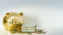 The Brazilian Electricity Regulatory Agency (ANEEL) reduced the benchmark energy prices in January