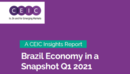 Brazil Economy in a Snapshot Q1 2021 Report