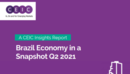 Brazil Economy in a Snapshot Q2 2021 Report