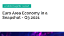 Euro Area Economy in a Snapshot Q3 2021 Report