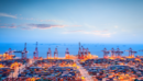 China’s export grew by 25.6% y/y in August