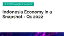 Indonesia Economy in a Snapshot Q1 2022 Report