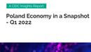Poland Economy in a Snapshot Q1 2022 Report