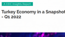 Turkey Economy in a Snapshot Q1 2022 Report