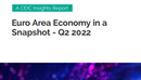 Euro Area Economy in a Snapshot Q2 2022 Report