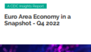 Euro Area Economy in a Snapshot Q4 2022 Report