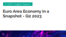 Euro Area Economy in a Snapshot Q2 2023 Report
