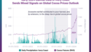 Early 2024 Rainfall Data in Ivory Coast Sends Mixed Signals on Global Cocoa Prices Outlook