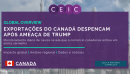 Nosso segundo gráfico mostra que essa desaceleração nas exportações canadenses em fevereiro e março segue o mesmo padrão observado em outras economias desenvolvidas. Países do G7, Austrália e Coreia do Sul também registraram queda nas atividades portuárias em fevereiro, com uma recuperação instável em março. Já nos países BRIICs, a retomada em março foi mais forte, embora tenha partido de quedas muito mais acentuadas.   Os dados diários de embarques e carregamentos portuários da Marine Traffic têm antecipad