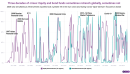 Global contagion lessons from bond and equity flows