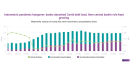 How Bank Indonesia ended up owning so much debt amid shaky economy